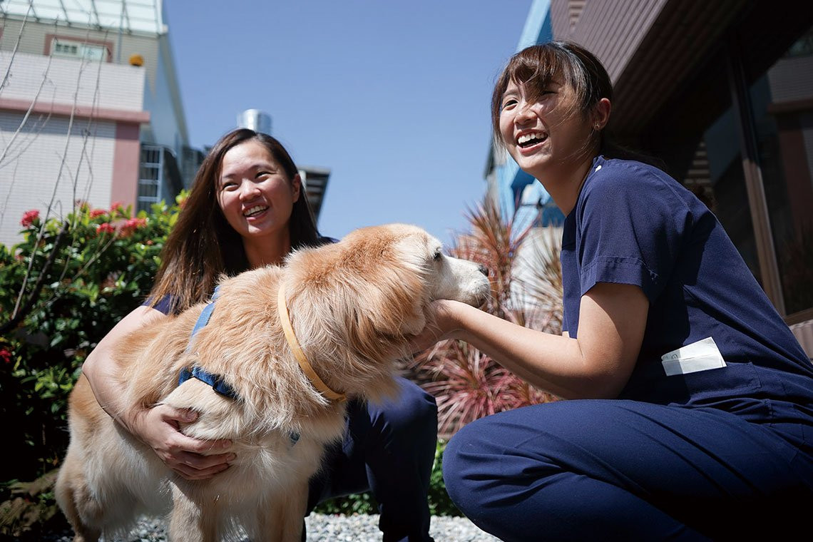 熱血獸醫 愛動物更甚於人