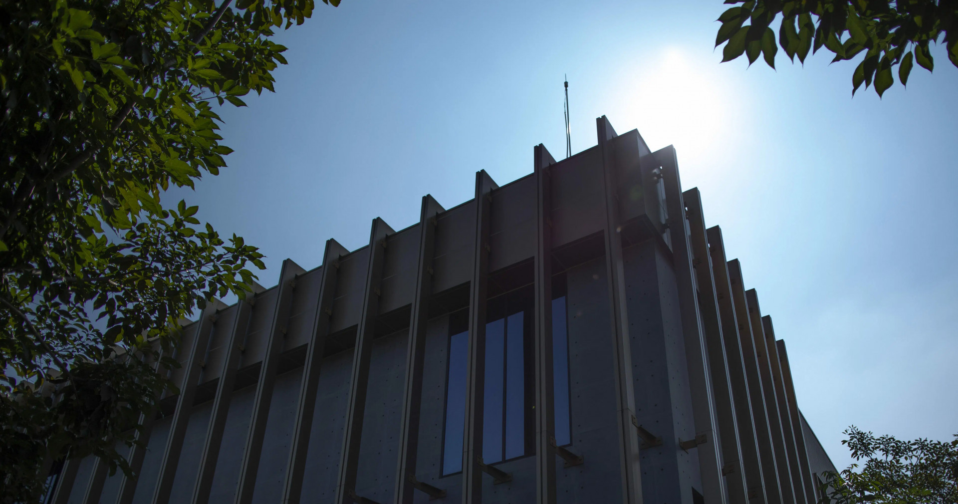 大江生醫力挺員工人生大事 結婚禮金、生育津貼、獎學禮一次滿足