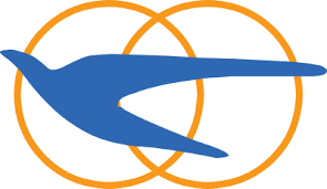 中興大業巴士股份有限公司